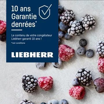 Congélateur armoire LIEBHERR FNa6625 – Image 4