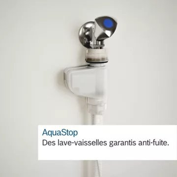 Lave vaisselle 60 cm BOSCH SMS6TCI02E Serenity Serie 6 Zeolith – Image 6