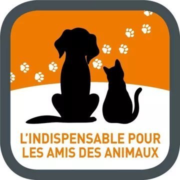 Aspirateur laveur THOMAS Pet & Family Aqua+ (788568) – Image 6