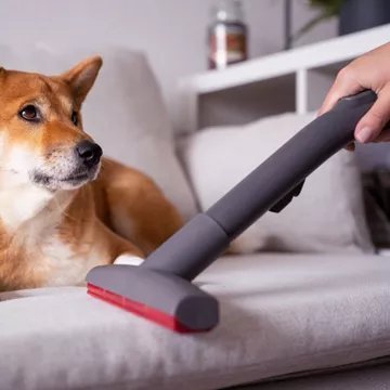 Aspirateur laveur THOMAS Pet & Family Aqua+ (788568) – Image 15