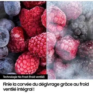 Réfrigérateur combiné SAMSUNG RB34C6B0EAP – Image 8